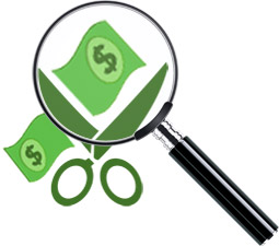 About RMO